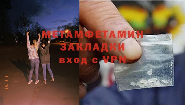 прущие грибы Богородск