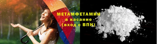 прущие грибы Богородск