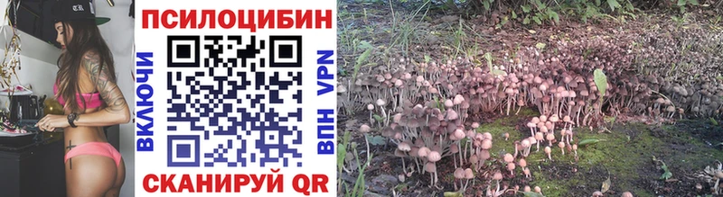 OMG зеркало Полтавская Псилоцибиновые грибы мухоморы что такое наркотик